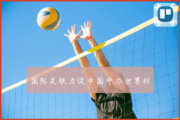 国际足联力促中国申办世界杯