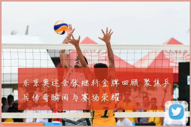 东京奥运会张继科金牌回顾 聚焦乒乓传奇瞬间与赛场荣耀