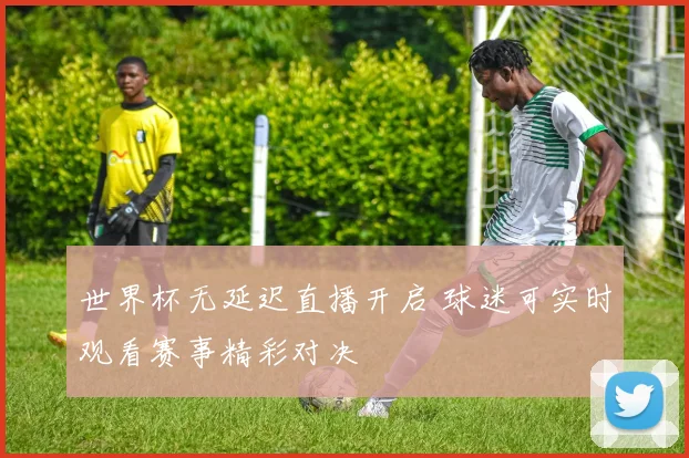 世界杯无延迟直播开启 球迷可实时观看赛事精彩对决