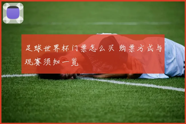 足球世界杯门票怎么买 购票方式与观赛须知一览
