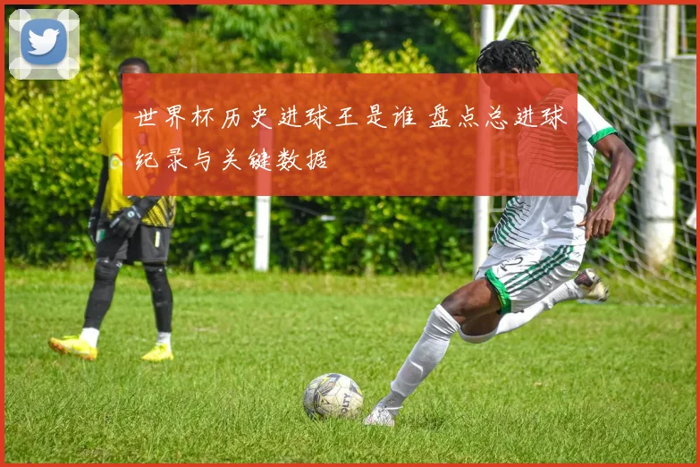 世界杯历史进球王是谁 盘点总进球纪录与关键数据