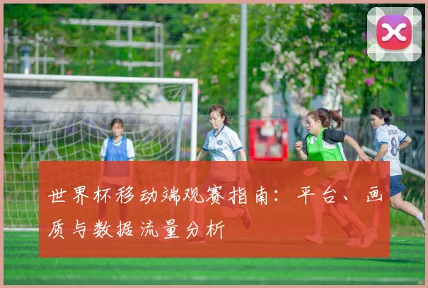 世界杯移动端观赛指南：平台、画质与数据流量分析