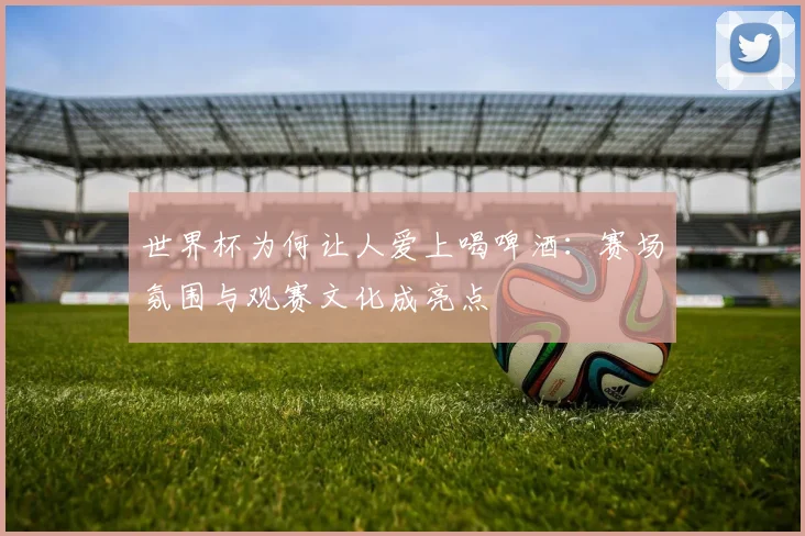 世界杯为何让人爱上喝啤酒：赛场氛围与观赛文化成亮点