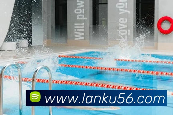 华体在线登录入口APP 封面图